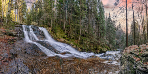 174330_Johann Dirschl_Rieslochfälle