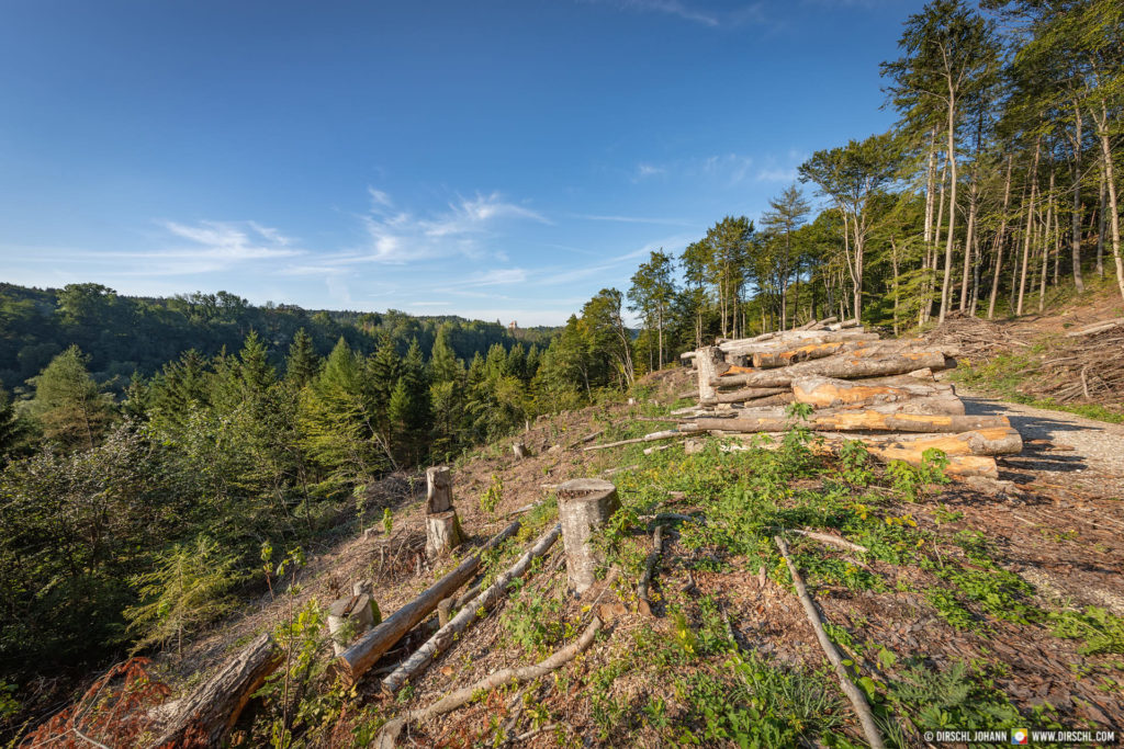 A_BR_Hochburg-Ach_Wanghausen Aussicht Marienberg (Dirschl Johann)_IT6A0773
