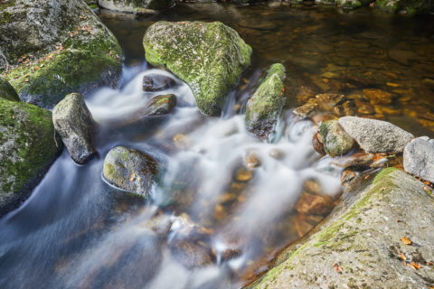 Buchberger Leite Detail