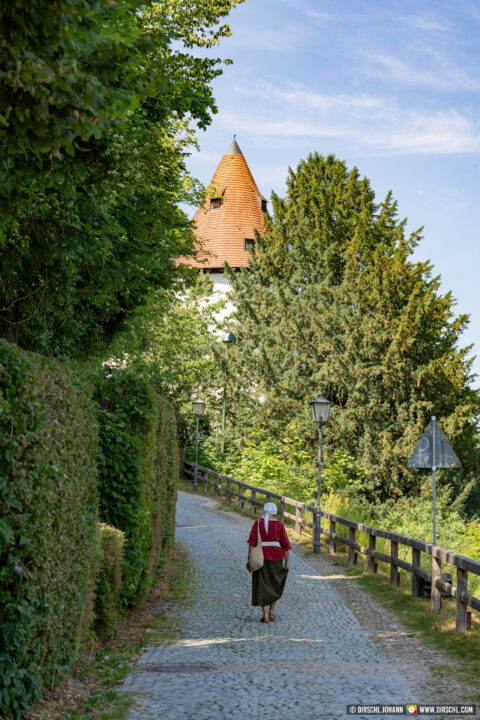 D_AÖ_Burghausen_Burgfest 2023 Einzug (Dirschl Johann)_DSC00011