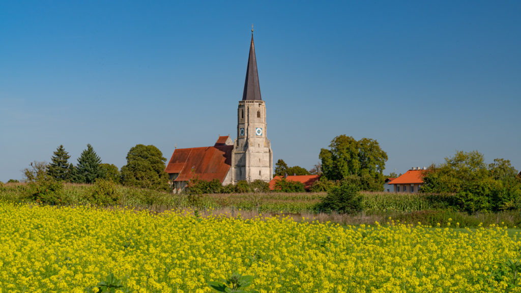 D_PA_Aigen_01_Kirche mit Rapsfeld (Dirschl Johann)