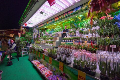 D_PA_Bad Griesbach_Karpfhamer Fest 2022 Unterhaltung (Dirschl Johann)_DSC02089