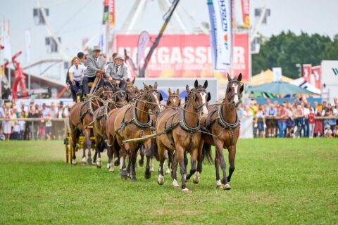 D_PA_Bad Griesbach_Karpfhamer Fest 2022 Zehnerzug (Dirschl Johann)_DSC07576