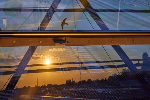 Lichtspiegelung