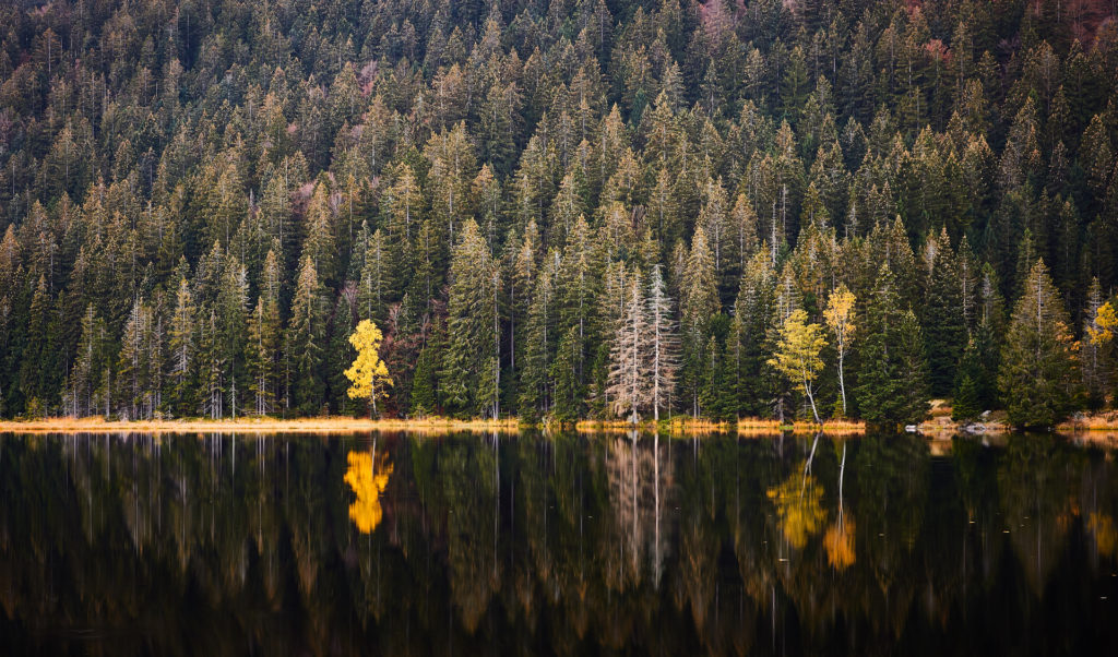 Kleiner Arbersee