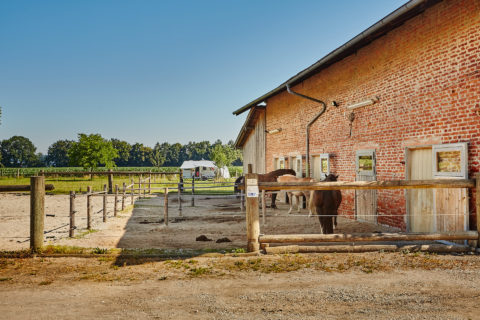 Lehneck_17