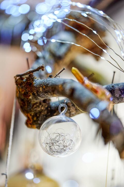 Sigi Franz Kugel in Auslage