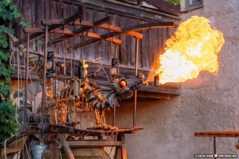 D_AÖ_Burghausen_Burgfest 2023 (Dirschl Johann)_DSC06279