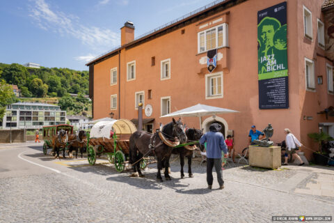 D_AÖ_Burghausen_Burgfest 2023 Einzug (Dirschl Johann)_DSC07330