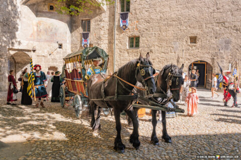 D_AÖ_Burghausen_Burgfest 2023 Einzug (Dirschl Johann)_DSC07431