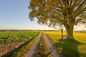 Linde Aussicht, Rainbichl, Tyrlaching, Altötting, Oberbayern