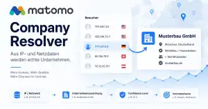 Matomo Company Resolver