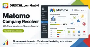 Matomo Company Resolver – B2B-Firmenerkennung & Vertriebsreports