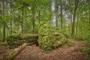 Waldwunderwelt Teufelsfelsen, Bad Griesbach, Passau