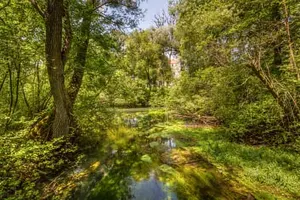 Bachlauf hinter der Burg, Frauenstein, Braunau am Inn
