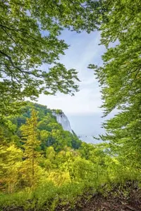 Victoriasicht zum Königstuhl Kreidefelsen und Ostsee Rügen