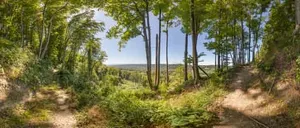 Aussicht im Wald, Hadermarkt, Braunau am Inn, Oberösterreich