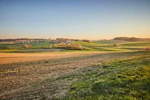 Arbing und Ecking: Landschaft Feldkreuz Aussicht Altötting