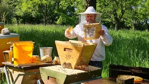 Alztalhonig - Imkerei Müller aus Tann | Met Drache, Bienenbarke