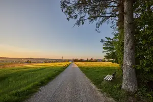 Landschaft Atzberg, Mitterskirchen, Feldweg, Wandern