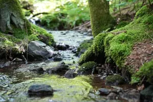 Hochfall in Bodenmais,schöner Wanderweg mit vielen motiven