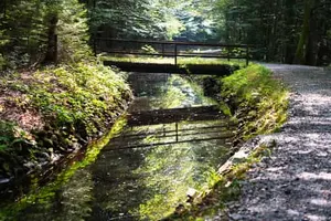  Stausee Großarmschlag zulauf Spiegelau 