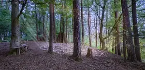Steinlabyrith, Schildthurn Schmiding, PAN, Ndb, Holzland