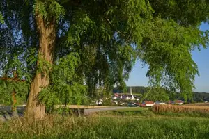 Aussichtspunkt mit Bank unter Akazie, Taubenbach Aussicht