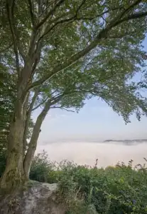 Aussicht Gassen, Landschaft Morgennebel, Marktl, Altötting