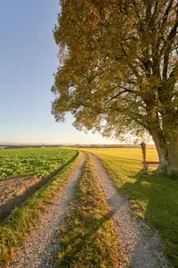 Linde Aussicht, Rainbichl, Tyrlaching, Altötting, Oberbayern