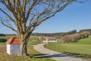 Baum Bildstock Landschaft, Birnbach, Altötting, Oberbayern