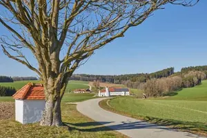 Baum Bildstock Landschaft, Birnbach, Altötting, Oberbayern