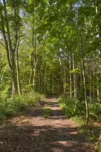 St.-Rupert-Pilgerweg Weindlgrub nach Ofner, Kastl