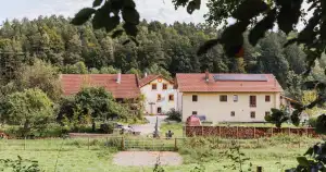 Fortbildung Ergotherapie, Seminare, Kurse, Zertifikat