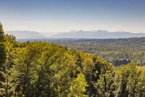 Aussicht im Wald, Hadermarkt, Braunau am Inn, Oberösterreich