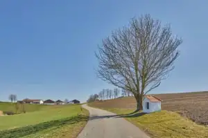 Baum mit Bildstock, Birnbach, Altötting, Oberbayern
