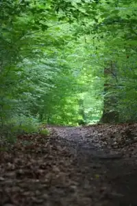 Rundweg um Winhöring zur Isen und zum Schloss Frauenbühl
