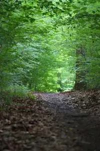 Rundweg um Winhöring zur Isen und zum Schloss Frauenbühl