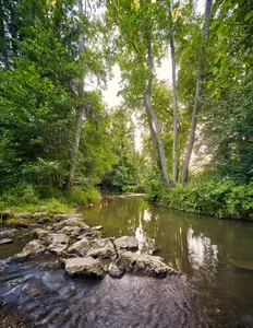Gern Lichtlberger Wald, Eggenfelden, Niederbayern, Holzland