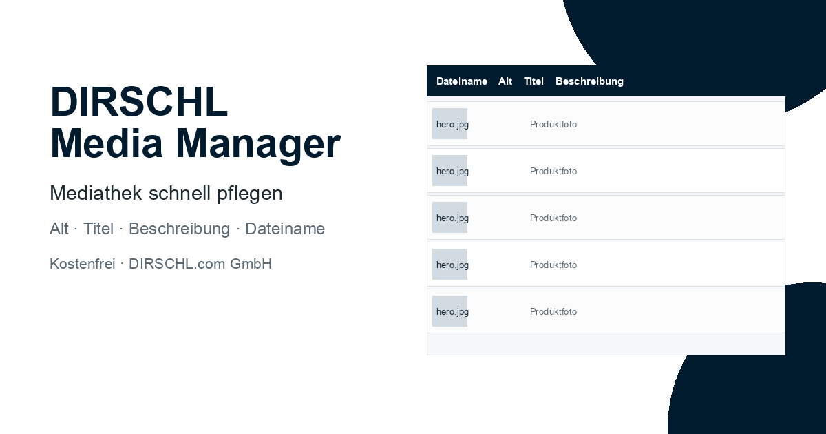 DIRSCHL Media Manager OG