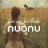 nuonu – Frei wie die Pferde