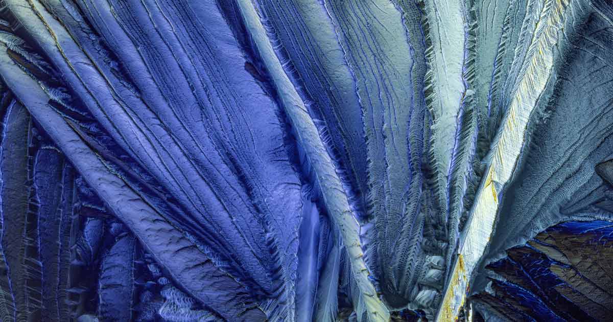 Mikrofotografie, Lupenfotografie im polarisierten Licht