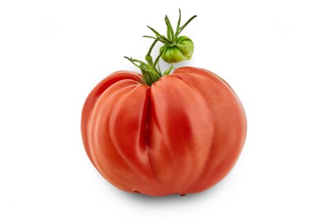 Ochsenherz Tomaten Stack