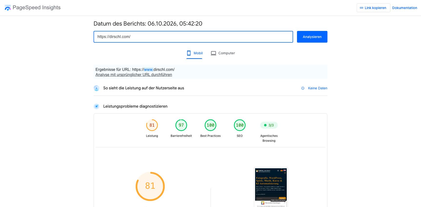 PageSpeed Insights dirschl.com – Mobil Google PageSpeed Insights für dirschl.com in der mobilen Ansicht