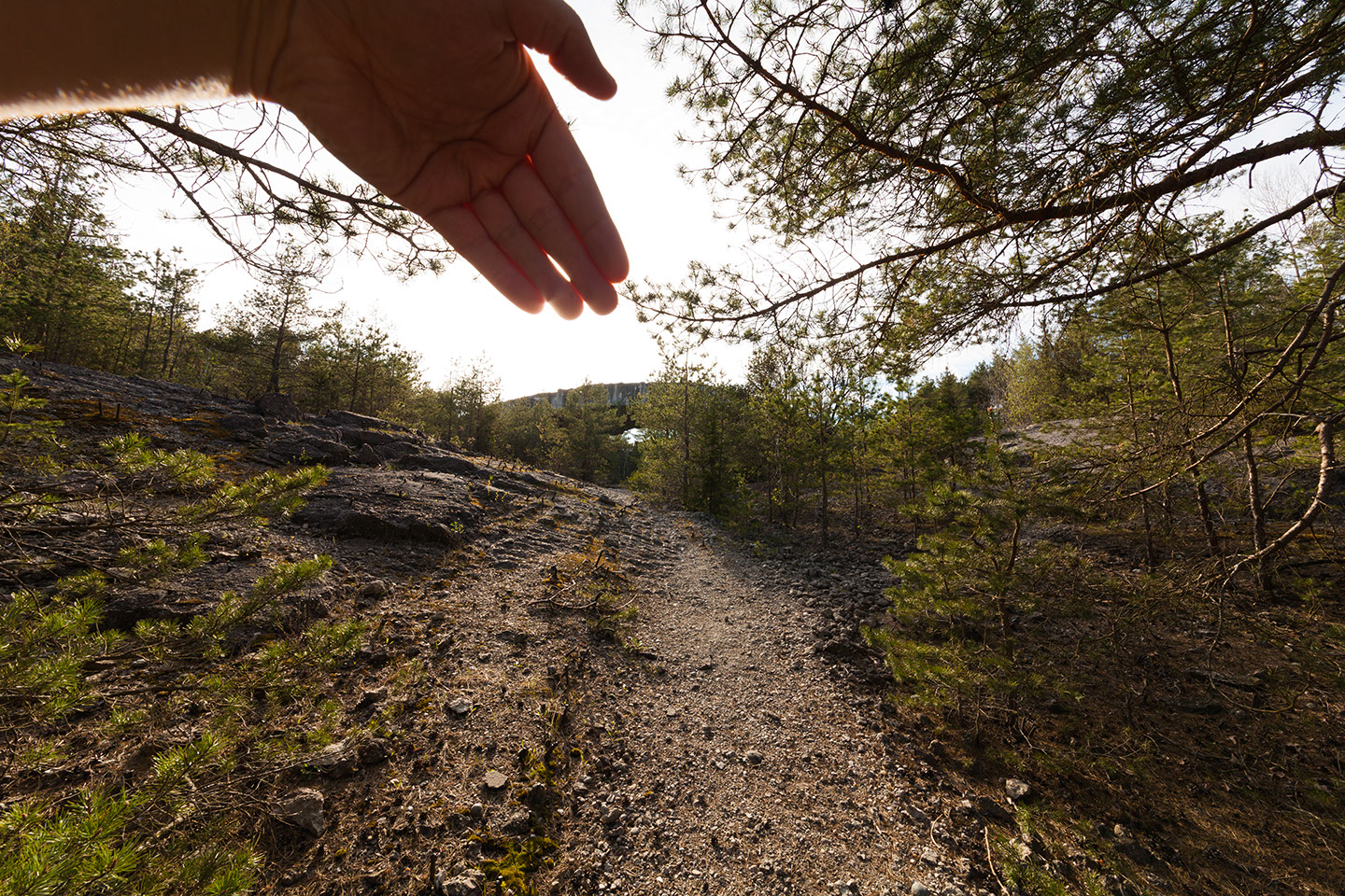 Lensflares vermeiden